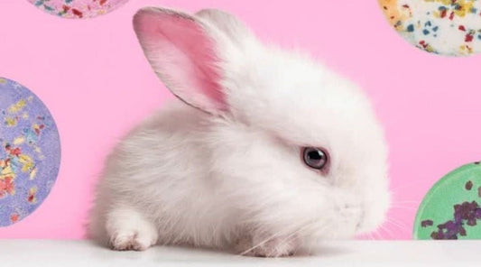 ANNOUNCEMENT: CLEVERFY Is Joining PETA’s Global 'Beauty Without Bunnies' Program