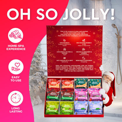 NEW! Holiday Gift Set | Pack of 12